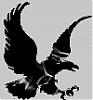 L'avatar di Black Eagle