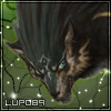 L'avatar di Lupo89