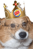 L'avatar di Burger King