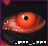 L'avatar di jippa_lippa