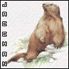 L'avatar di Jacchan