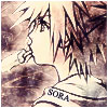L'avatar di Sora 2006